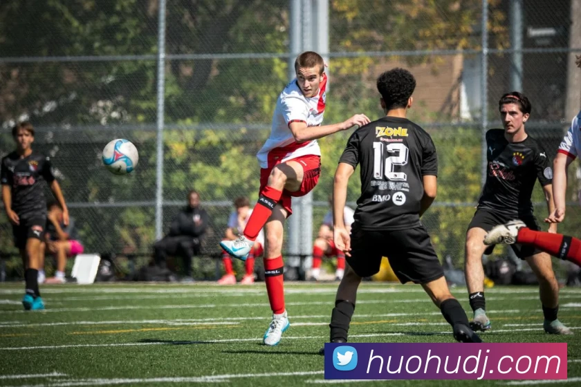 火狐电竞平台生态图